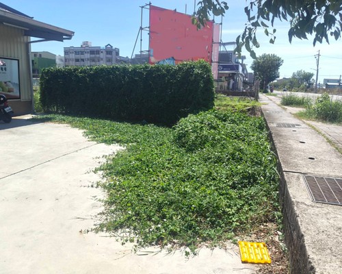 高雄市林園區除草,高雄市林園區割草