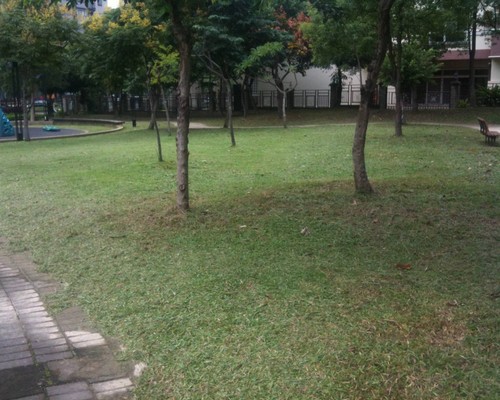 高雄市橋頭區公園除草, 高雄市橋頭區除草，高雄市橋頭區割草