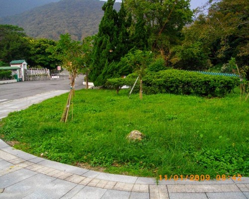 高雄公園綠地除草, 高雄除草，高雄割草
