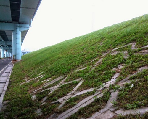 高雄鐵橋下除草, 高雄高鐵橋下除草, 高雄定期除草, 高雄市左營區除草，高雄市左營區割草