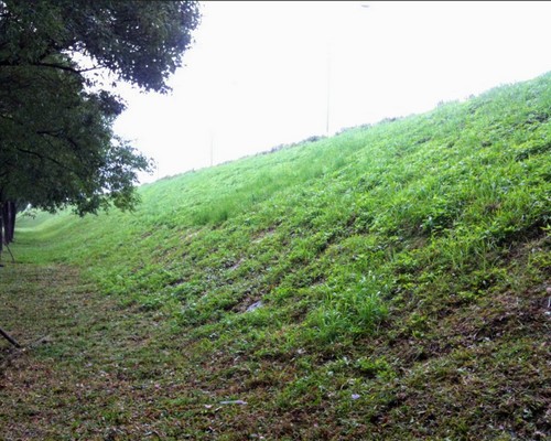 高雄河堤旁除草, 高雄河邊除草, 高雄定期除草, 高雄市新興區除草，高雄市新興區割草