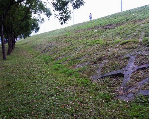 高雄河堤旁除草, 高雄河邊除草, 高雄定期除草, 高雄市新興區除草，高雄市新興區割草