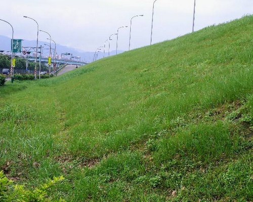 高雄河堤旁除草, 高雄河邊除草, 高雄定期除草, 高雄市前金區除草，高雄市前金區割草