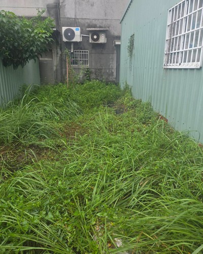 高雄除草公司, 高雄割草公司, 高雄建地割草, 高雄市岡山區除草，高雄市岡山區割草