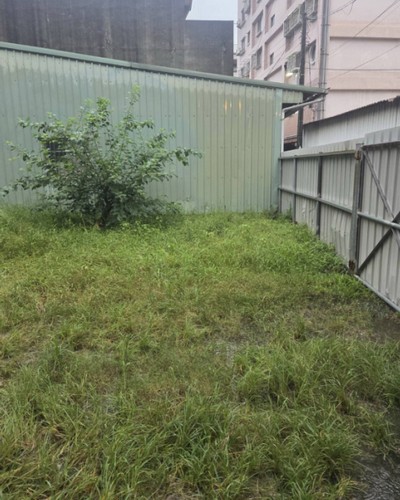 高雄代客除草, 高雄除草鋸樹, 高雄除草公司, 高雄割草公司, 高雄建地割草, 高雄市岡山區除草，高雄市岡山區割草