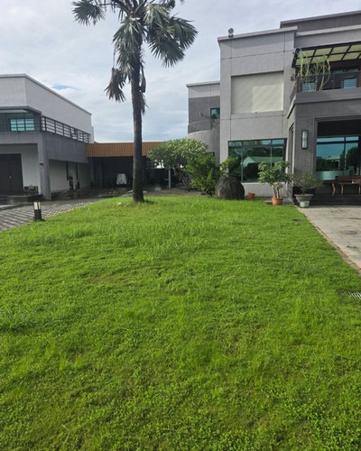 高雄工廠除草, 高雄代客除草, 高雄除草鋸樹, 高雄除草公司, 高雄割草公司, 高雄建地割草, 高雄市岡山區除草，高雄市岡山區割草