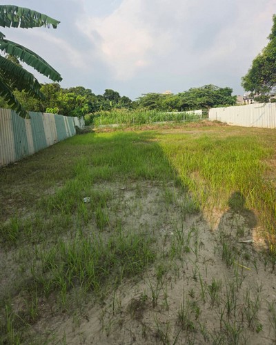 高雄市燕巢區建地割草, 高雄市燕巢區除草，高雄市燕巢區割草