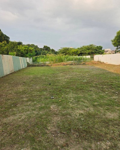 高雄市燕巢區建地割草, 高雄市燕巢區除草，高雄市燕巢區割草