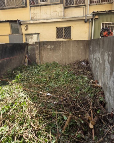 茄萣建地鋸樹除草, 高雄市茄萣區樹木修剪