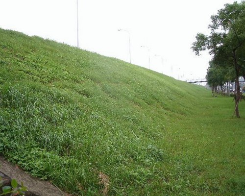 高雄橋頭河堤旁除草, 高雄橋頭河邊除草, 高雄橋頭定期除草, 高雄市橋頭區除草，高雄市橋頭區割草