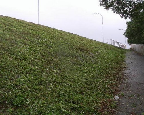 高雄橋頭河堤旁除草, 高雄橋頭河邊除草, 高雄橋頭定期除草, 高雄市橋頭區除草，高雄市橋頭區割草
