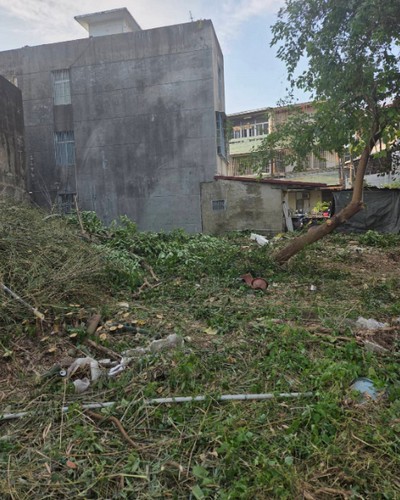 橋頭建地除草, 橋頭竹林雜樹清除, 橋頭橋頭區樹木修剪
