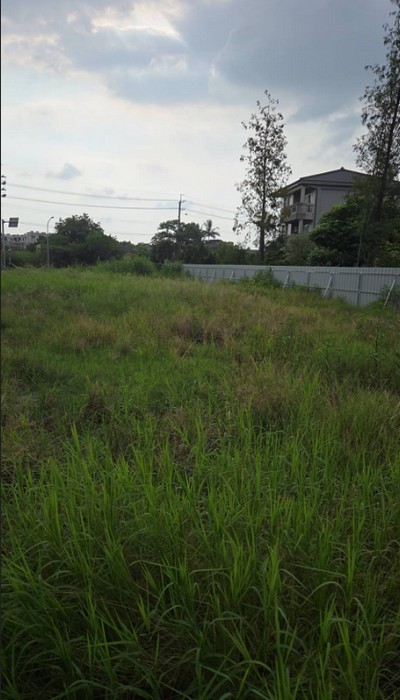 岡山區建地除草, 高雄市岡山區除草，高雄市岡山區割草
