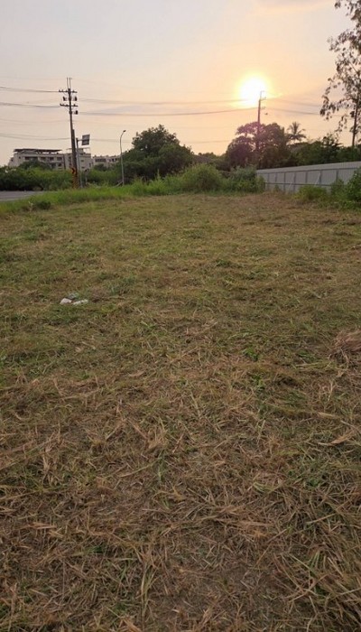 岡山區建地除草, 高雄市岡山區除草，高雄市岡山區割草