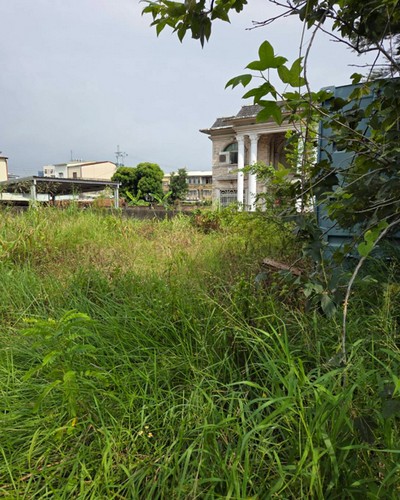 高雄市橋頭區建地除草, 高雄市橋頭區除草，高雄市橋頭區割草