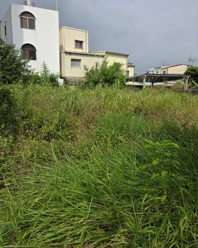 高雄湖內區建地除草, 高雄市湖內區除草，高雄市湖內區割草